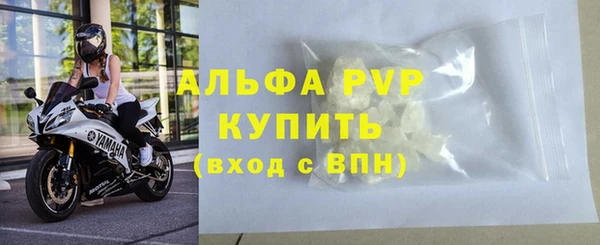 стаф Балахна