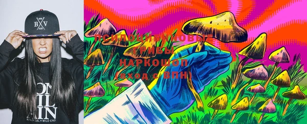 стаф Балахна