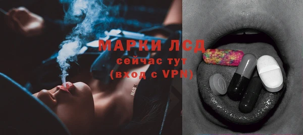 стаф Балахна