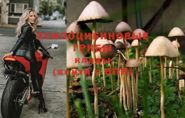 стаф Балахна