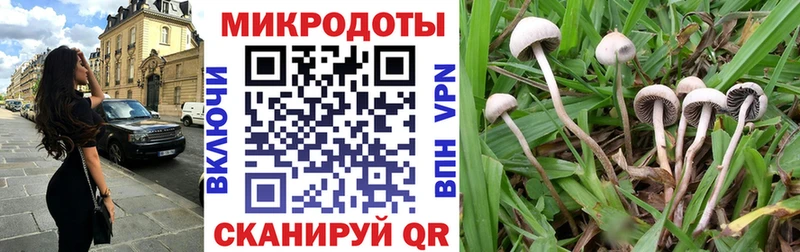 продажа наркотиков  Зверево  Галлюциногенные грибы Psilocybine cubensis 