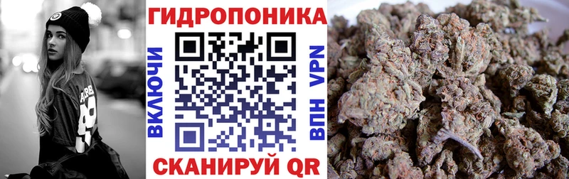 Бошки марихуана планчик  Зверево 